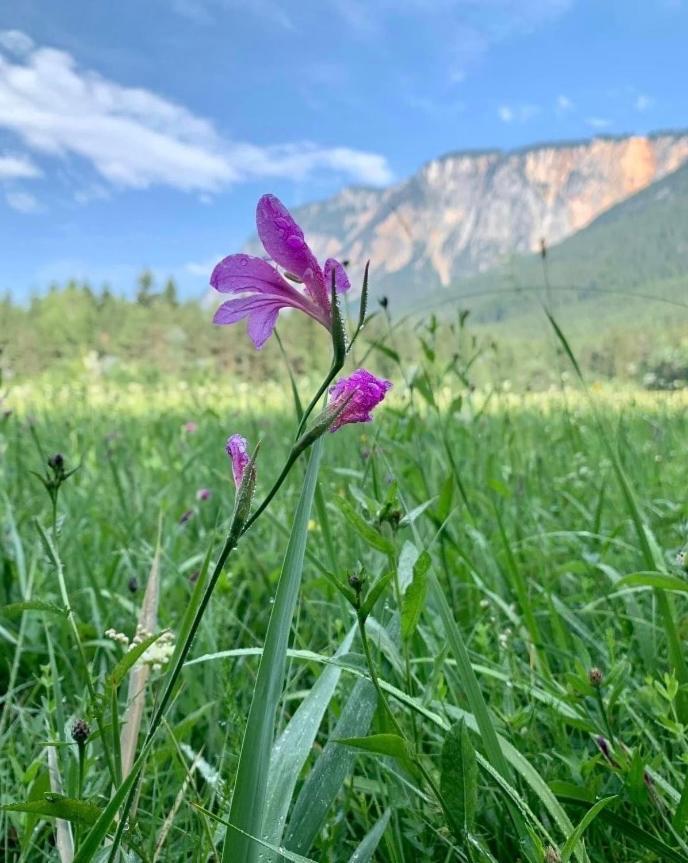 Ferienhaus Auszeit Natur Villach Buitenkant foto